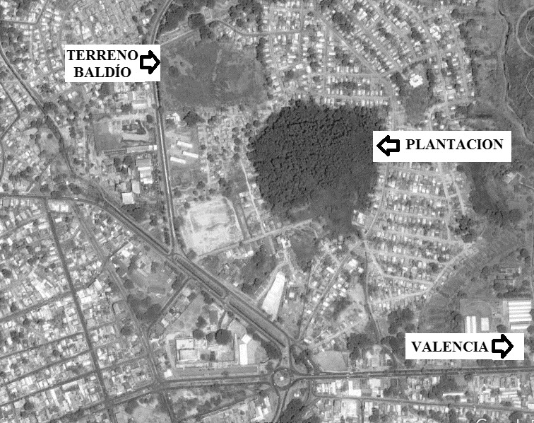 Detalle de temperaturas mínimas y máximas en la ciudad de San Carlos.