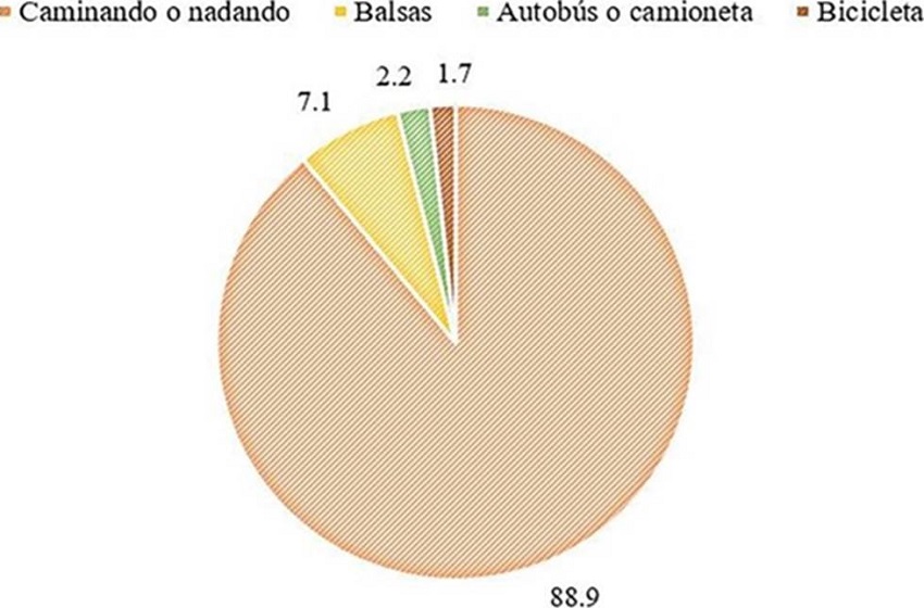 Modos de desplazamientos en cruces continuos de personas
