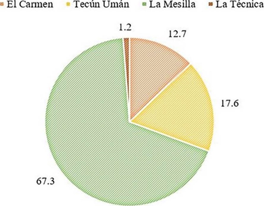 Principales ciudades guatemaltecas de cruce continuo
