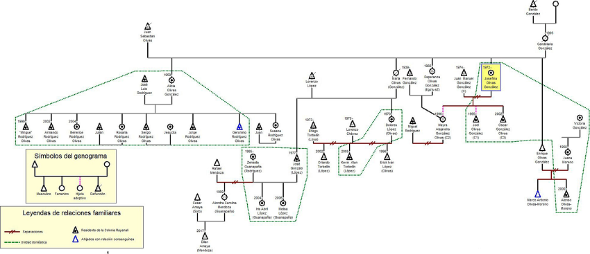 Genealogía 1, Josefina Olivas Chepa