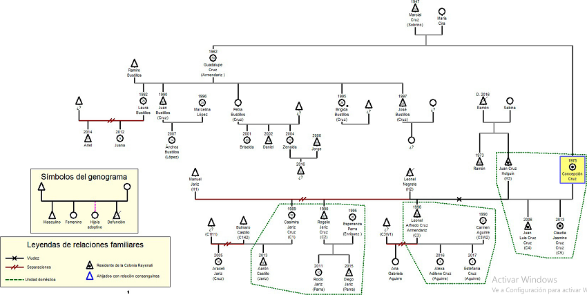 Genealogía 3, Concepción Cruz