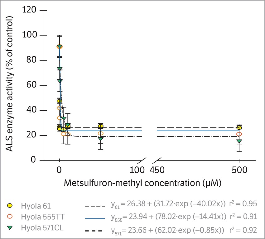 In vitro inhibition of the activity of the enzyme acetolactate synthase (ALS) in Hyola 555TT (555), Hyola 571CL (571) and Hyola 61 (61) canola hybrids by the metsulfuron-methyl herbicide. Passo Fundo, RS, 2014. Vertical bars represent the standard error of the mean.