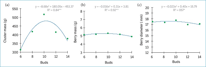 Influence of bud load on (a) cluster mass (g); (b) berry diameter (g); and (c) berry mass (g) in cv. Sugrathirteen (Midnight Beauty®) with different bud loads, during the seasons 2014 and 2015, Petrolina, Pernambuco, Brazil.