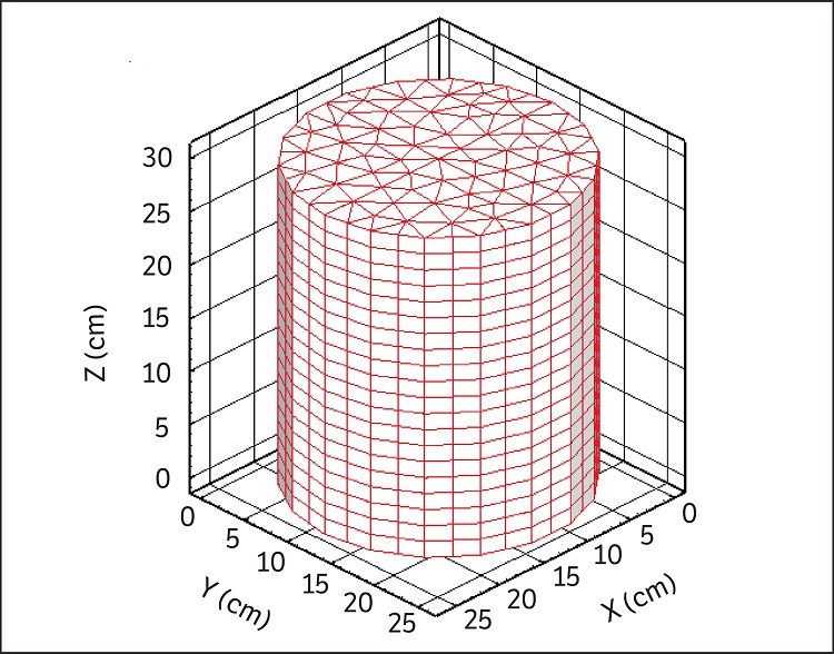 Numerical model mesh.