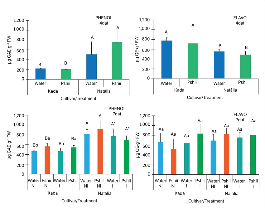 Total phenolic compounds (PHENOL) and flavonoid contents (FLAVO) in tomato leaves (cv. Santa Cruz Kada and Nat&aacute;lia) sprayed with water or polysaccharides extracted from basidiocarps of Lentinula edodes (Pshii 1.5 mg.mL&ndash;1) and inoculated (I) or not (NI) with X. gardneri (OD 0.6; 600 nm). Mean values recorded at 4 days after treatment (4 dat) and 7 dat (3 days after inoculation). Error bars indicate standard deviation. Means followed by the same letter (uppercase between cultivars; lowercase between treatments within the cultivar) did not differ significantly by Tukey&rsquo;s test (p < 0.05). * Effect of inoculation relative to the respective non-inoculated control. Bars indicate standard deviation.