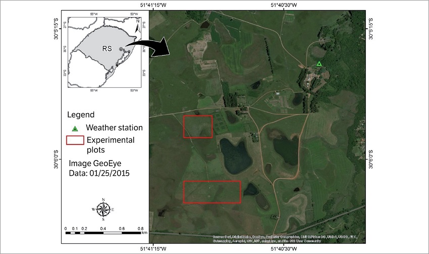 GeoEye image highlighting the studied area (red rectangles) and the weather station (green triangle). Eldorado do Sul, Rio Grande do Sul, Brazil.