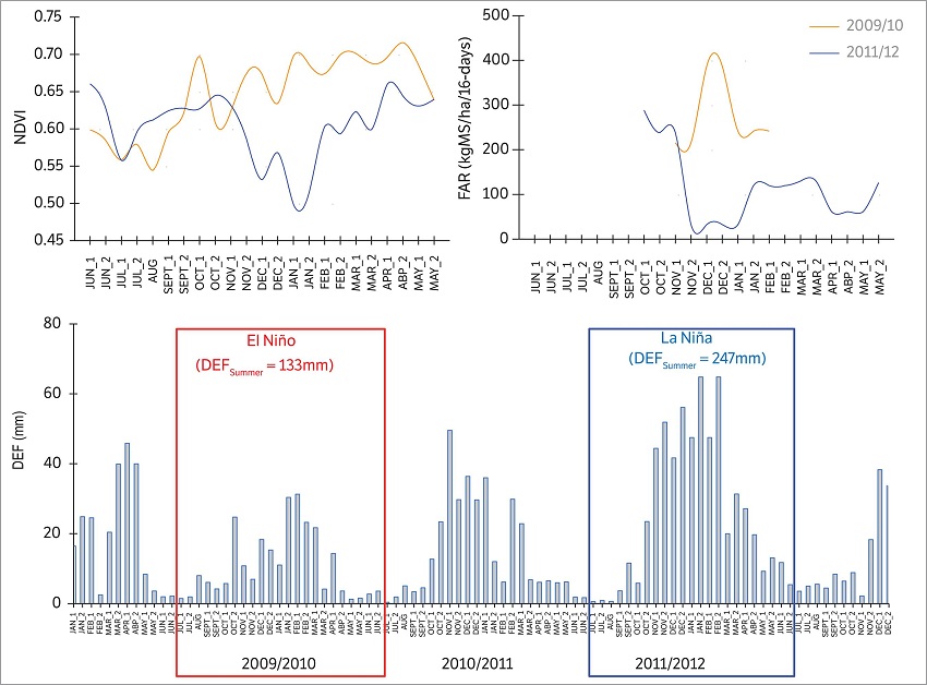 Values of DEF (Water deficit), NDVI (Normalized Difference Vegetation Index) and FAR (Forage Accumulation Rate) observed during the ENSO events of 2009/2010 and 2011/12, in Eldorado do Sul, Rio Grande do Sul, Brazil.