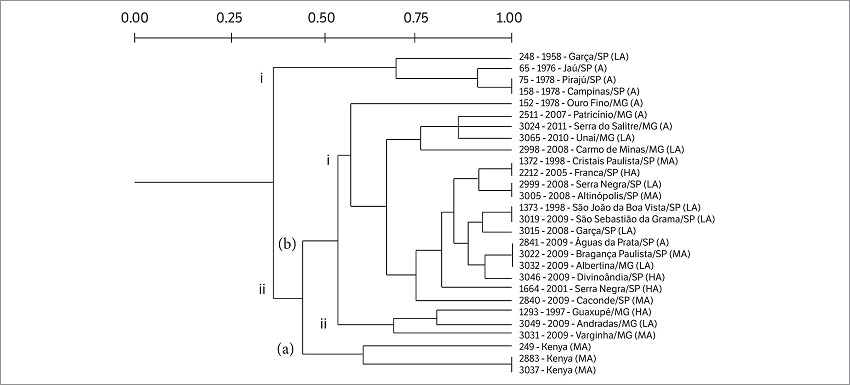 Genetic diversity of Pseudomonas syringae pv. garcae strains. Dendrogram generated according to the fingerprint of the strains using ERIC 1R/ERIC2 primers, based on the UPGMA method, using Jaccard similarity coefficient (SJ).