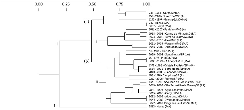 Genetic diversity of Pseudomonas syringae pv. garcae strains. Dendrogram generated according to the fingerprint of the strains using REP1R/REP2I primers, based on the UPGMA method, using Jaccard similarity coefficient (SJ)