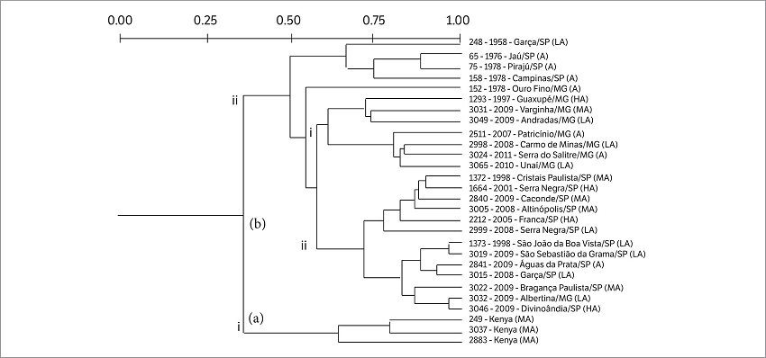 Genetic diversity of Pseudomonas syringae pv. garcae strains. Dendrogram generated according to the fingerprint of the strains using the primers ERIC-PCR and REP-PCR, based on the UPGMA method, using Jaccard similarity coefficient (SJ).
