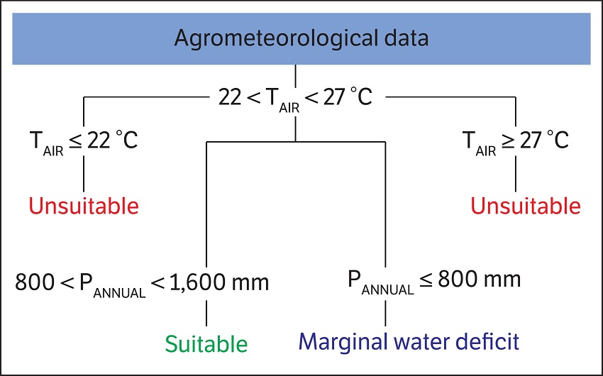 Criteria for classifying the suitability of Bixa orellana L. according to the agroclimatic attributes: TAIR = annual average temperature (&deg;C) and PANNUAL = annual rainfall (mm∙y-1).
