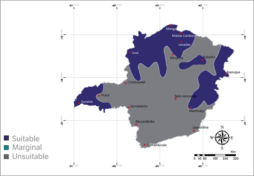 Agroclimatic zoning for Bixa orellana L. in the State of Minas Gerais, Brazil.