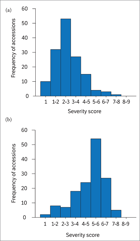 Histogram showing the frequency distribution of southern rust severity score across the maize diversity panel for (a) the first and (b) the second crop seasons.