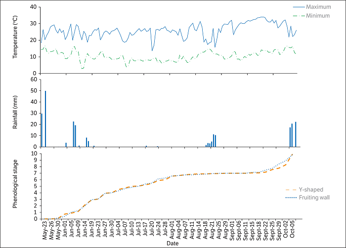 Maximum and minimum temperatures, rainfall and phenological stages during the growing season of 2017 of Tropic Beauty peach cultivar at the municipality of Jarinu, S&atilde;o Paulo state, Brazil. Phenological stages: 1 &ndash; Bud swell; 2 &ndash; Pink stage; 3 &ndash; Full bloom; 4 &ndash; Petal fall;5 &ndash; Split-jacket; 6 &ndash; Fruit set; 7- Small fruitlets; 8 &ndash; Final swell; 9 &ndash; Fruit veraison; 10 &ndash; Commercial ripening.