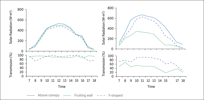Solar radiation above the canopy and transmitted into Tropic Beauty peach trees trained in fruiting wall and Y-shaped systems during the flowering (left) and harvest (right) period at the municipality of Jarinu, S&atilde;o Paulo state, Brazil.