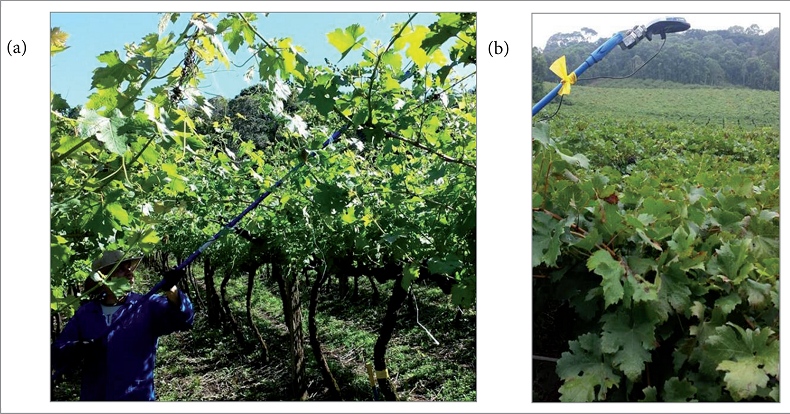 Data acquisition of Normalized Difference Vegetation Index (NDVI) with (a) remote sensor Greenseeker, and (b) the sensor position above the canopy in horizontal training system vineyard.