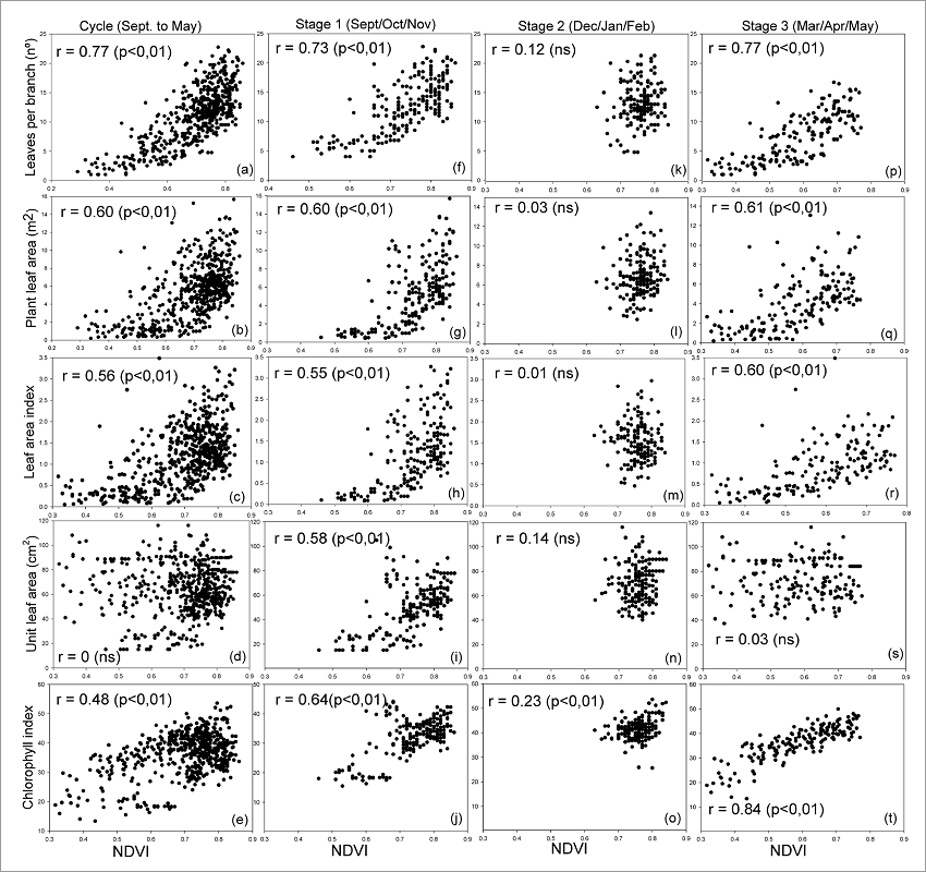  Pearson correlation between Normalized Difference Vegetation Index (NDVI) and biophysical parameters (a, f, k, p) number of leaves per branch; (b, g, l, q) leaf area of the plant (m2); (c, h, m, r) leaf area index (LAI); (d, i, n, s) unit leaf area (cm2); and (e, j, o, t) chlorophyll index in (a, b, c, d, e) cycle (September to May); and in the stages (f, g, h, i, j) 1 (September to November); (k, l, m, n, o) 2 (December to February) and (p, q, r ,s, t) 3 (March to May) of the Chardonnay vine cycle (seasons 2014/2015, 2015/2016 and 2016/2017)in Serra Ga&uacute;cha region, Brazil.