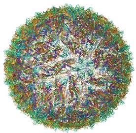 Cryo-EM. Estructura del virus del Zika [ZIKV]. 