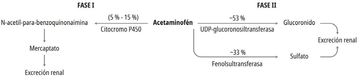 Metabolismo del acetaminofén.