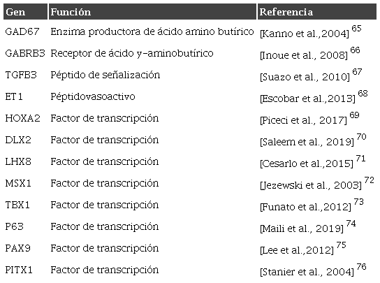 Fisuras labiopalatinas no sindr&oacute;micas