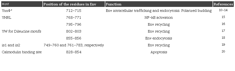 Functionally identified motifs in the cytoplasmic domain of Env