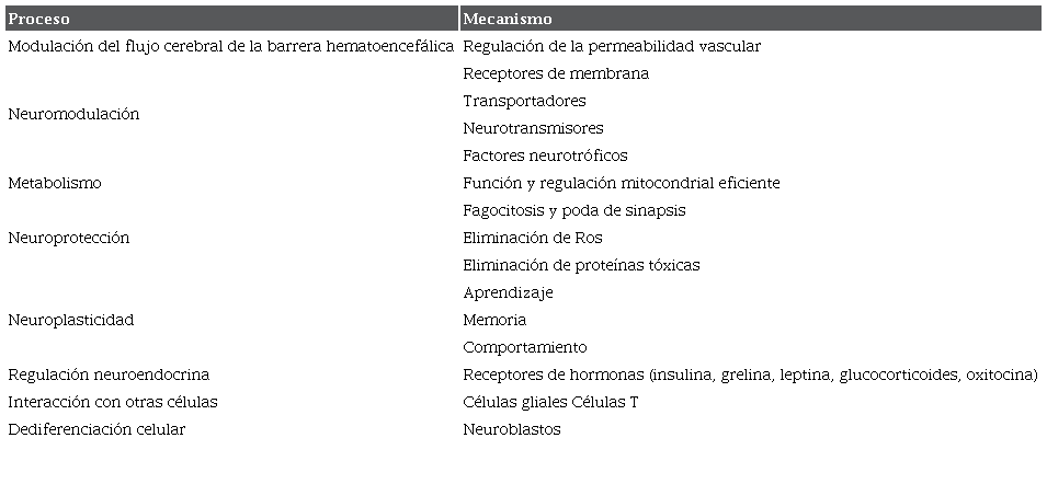 Funciones de los astrocitos