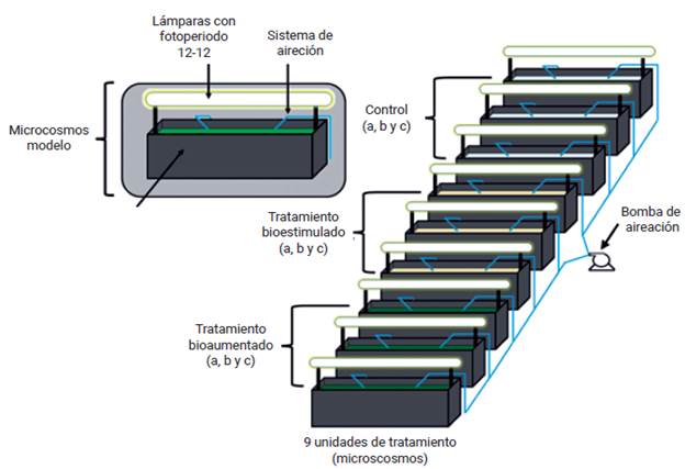 Diagrama de las unidades de tratamiento (microcosmos) usadas en el presente estudio.