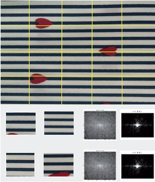 Partición de la imagen en ventanas.