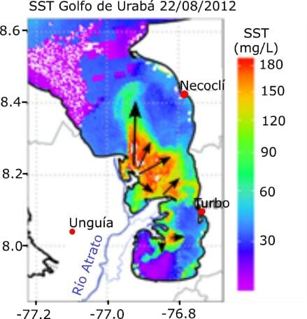 Dirección de las plumas de sedimentación con forma digital en la desembocadura del río Atrato Fuente: elaboración propia.