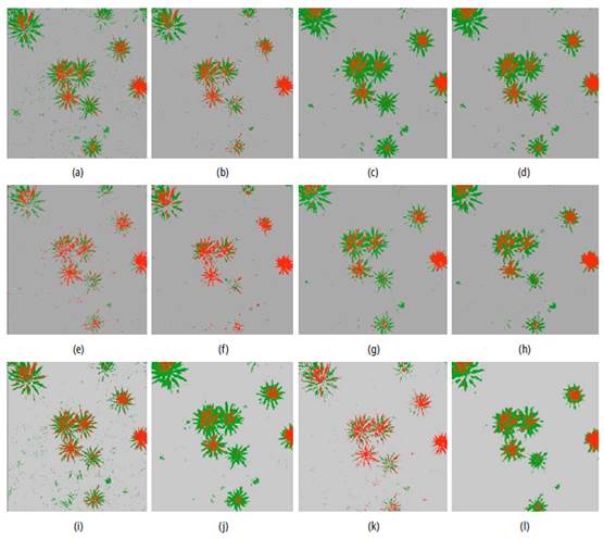 ML vs SVM classification, unhealthy plants appear in red, healthy plants appear in green; gray areas represent other types of vegetation. (a) ML classification in RGB images. (b) ML classification in RGB images with ENT and 15x15. (c) ML classification in NIR images with ENT and 5x5. (d) ML classification in NIR images with ENT. (e) SVM classification in RGB images. (f) SVM classification in RGB images with ENT and 15x15. (g) SVM classification in NIR images with ENT and 5x5. (h) ML classification in NIR images with ENT and 15X15 (i) ML classification in RGB images with FT. (j) ML classification in NIR images with MEA and 5x5. (k). SVM classification in RGB images with 3VAR and 5x5. (l) SVM classification in NIR images with 3MEA and 15x15.