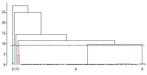 Dendrogram with a six-class cut.
