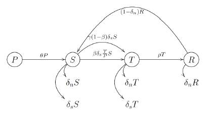 Diagrama causal de la interacción dinámica de las variables S, T y R.