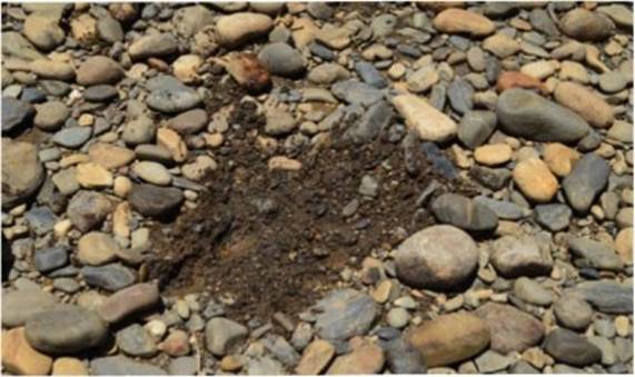 Verificación de campo del proceso de acorazamiento