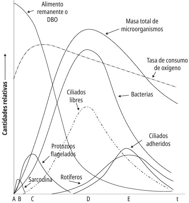 Activated sludge relative dominance diagram