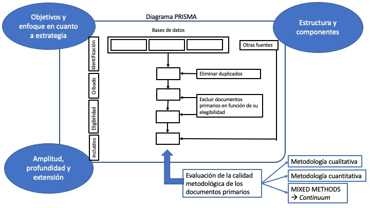 Dimensiones diferenciales en las Revisiones Sistemticas