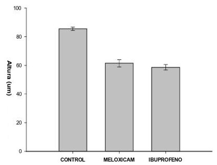 fecto del tratamiento de medicamentos despus de 30 das, en la altura de la pared de los tbulos seminferos. Control: ratas tratadas con suero fisiolgico.