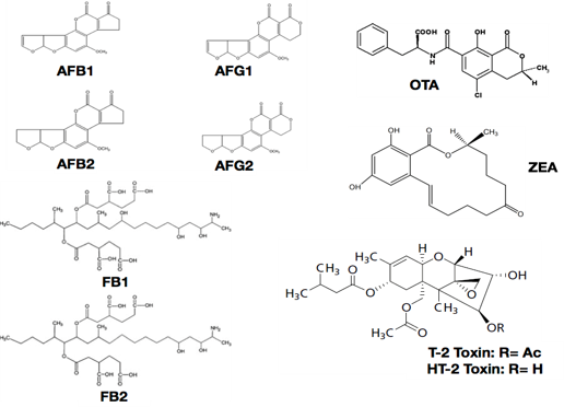 Chemical structures of the legislated mycotoxins analyzed in this study.
