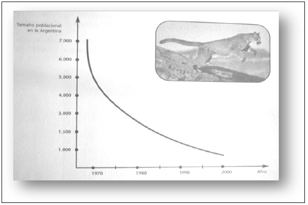 RGC propuesta para el
T1