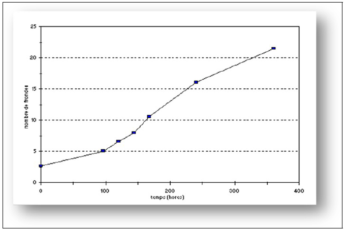 RGC propuesta para el T2
