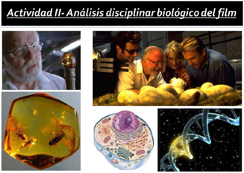 Parte del soporte visual utilizado para la tercera clase de la propuesta: la socialización de lo realizado en la Actividad II. Se combinan imágenes correspondientes a los fragmentos analizados de la película, con figuras representativas de conceptos biológicos utilizados para la crítica a los planteos y a la trama argumentativa.