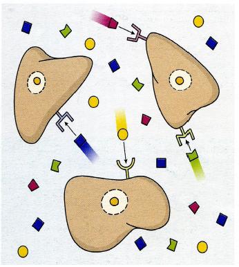 Representaci&oacute;n del desplazamiento de elementos mediante el
  uso de estelas y flechas actuando de forma sin&eacute;rgica. Dichas estelas son un
  recurso basado en un fen&oacute;meno perceptivo (Tomado de Junqueira y Carneiro,
  2005).