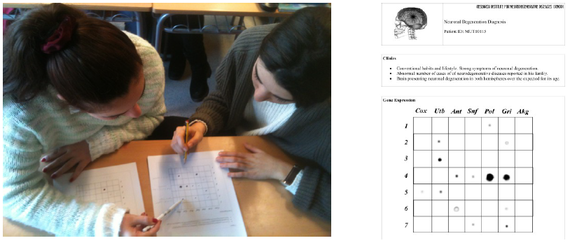 An&aacute;lisis
de los niveles de expresi&oacute;n de genes candidatos en el cerebro.