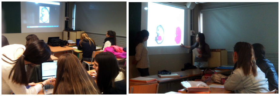 Sesiones
de investigaci&oacute;n y celebraci&oacute;n del Seminario de Investigaci&oacute;n.