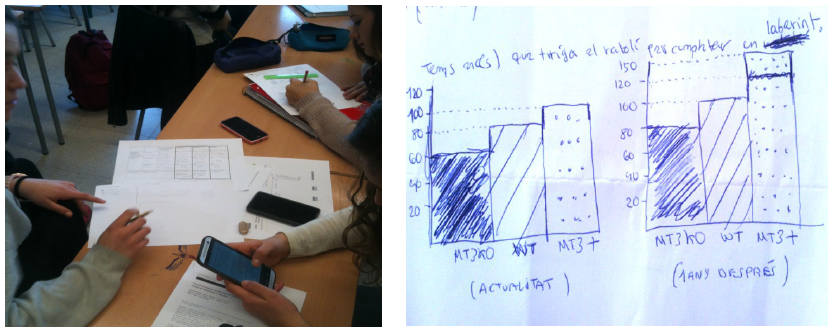 a) Alumnos
  discutiendo los resultados esperados. b) Borrador de una simulaci&oacute;n en
  la que se habr&iacute;a medido el tiempo que tardan ratones salvajes y transg&eacute;nicos
  por MT3 en recorrer un laberinto.