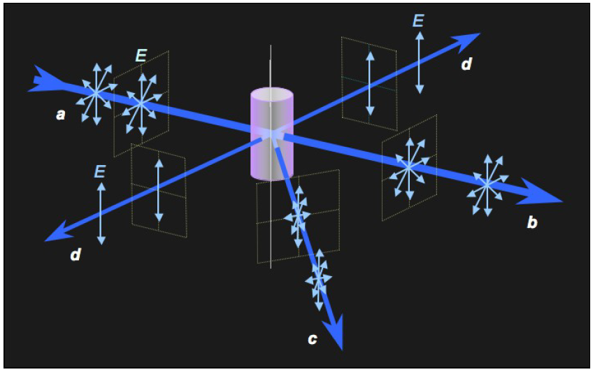 (a) Un coloide se ilumina lateralmente con un haz de luz no polarizada. (b) La luz transmitida tampoco está polarizada. (c) Los rayos esparcidos están parcialmente polarizados. (d) Los rayos normales al haz primario se encuentran completamente polarizados. E representa la orientación del campo eléctrico.