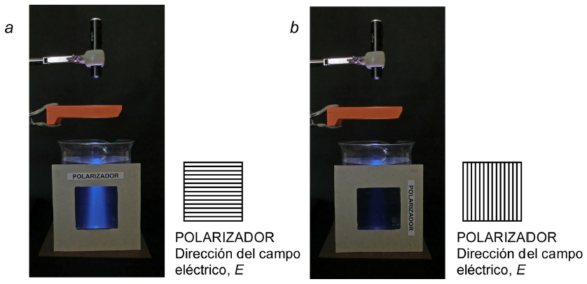 El coloide se ilumina con luz blanca. La luz esparcida en dirección normal a la de iluminación se observa a través de un polarizador lineal. (a) La intensidad de luz transmitida a través del filtro es máxima. (b) Si el filtro se gira 90º respecto a la posición anterior la luz queda bloqueada casi en su totalidad.