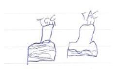Dibujo que acompaña la primera
producción de un estudiante.