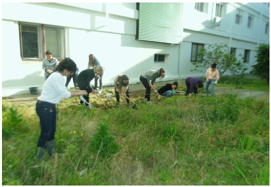  Primeras acciones en el huerto
ecol&oacute;gico de los maestros/as de Infantil en formaci&oacute;n inicial. Fuente:
Elaboraci&oacute;n propia.