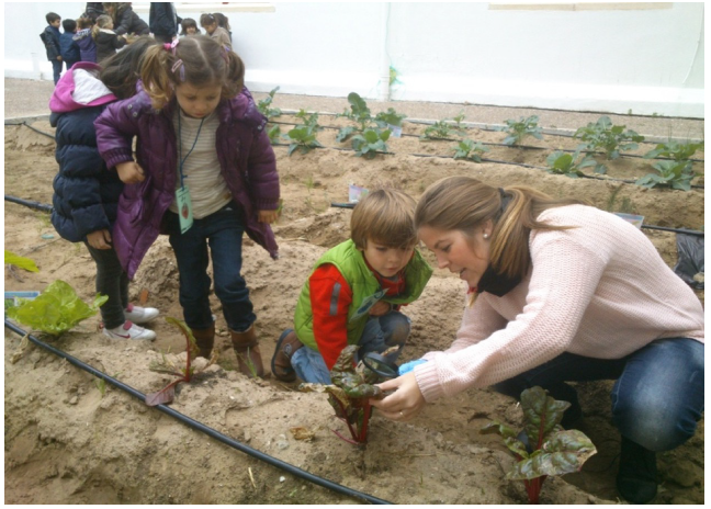Realizaci&oacute;n de los
talleres de Educaci&oacute;n Ambiental para Infantil en torno al huerto ecol&oacute;gico.
Fuente: Elaboraci&oacute;n propia.