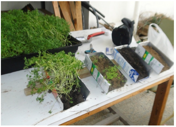  &ldquo;Erosion&oacute;metros&rdquo;
utilizados por los estudiantes para estudiar el problema ambiental de la
erosi&oacute;n. Fuente: Elaboraci&oacute;n propia.